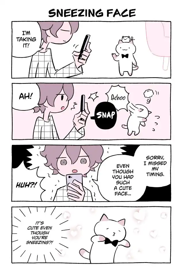 Wonder Cat Kyuu-chan Chapter 614 1